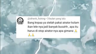 Kenapa air kolam BERBUSA setelah dipasang AERATOR