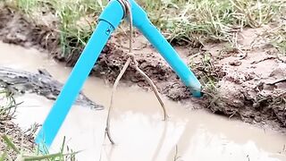 How to catch crocodile ????
