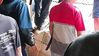 Babi hutan ke pemukiman warga