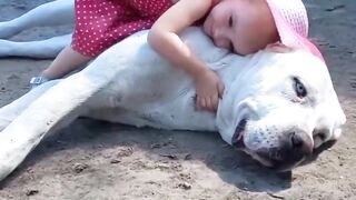 You are my sweet little dog????