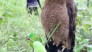 maja aaya funny video