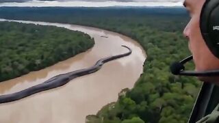 Yacumama is a legendary giant anaconda believed to inhabit Amazon River