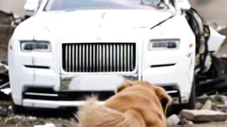 RollsRoyceCrash