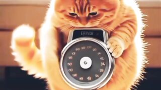 Funny ???????? video