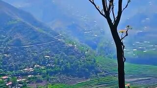 Lovely old Bollywood movie song make cry come people