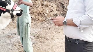 Cow purchasing for qurbani