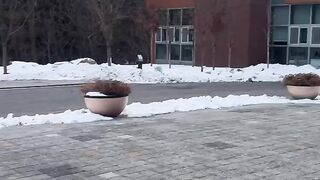 Korean in Snow