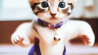 YouTube video funny short cute cat