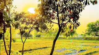 Azmir hosain