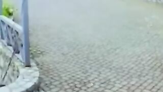 Latest funny videos on the day