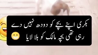Funny video ????????