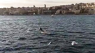 video2