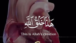 Beautiful quran recitation