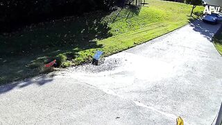 2024 Year in Review ???? Best Funny Videos of the Year
