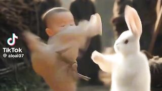 Baby and rabbit fight