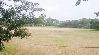 আমাদের এলাকা বিল
