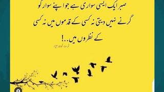 islamic knowledge #arabculture #quotes #hazratali #love #islamiceducation #goldenwords #islamic