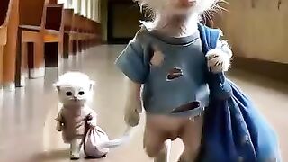 Pyari si cat ki video