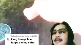 Apakah larva lele bisa tumbuh besar tanpa pakan cacing sutera
