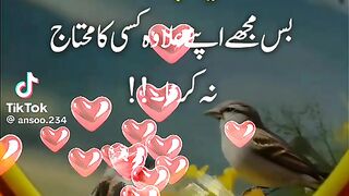 Allah pak