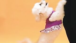 video6