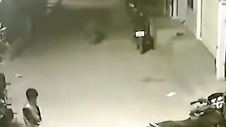 Crazy dog attack