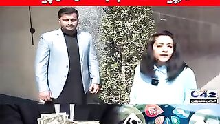 Instagram TikTok information for you like and like