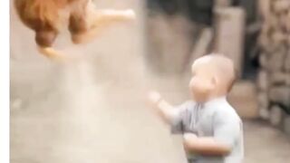bady funny fight