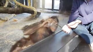 Funny Monkey & Magic