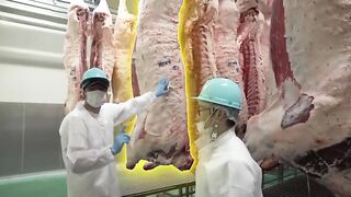 How Much Wagyu Can A Sumo Wrestler Eat?