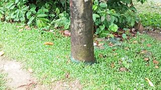 কতগুলো কাঠাল।