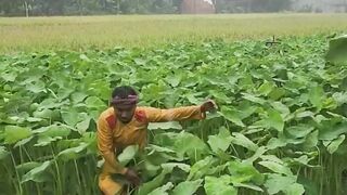 New Best Funny Video 320