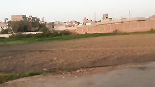 Evineg