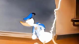 Duck VS Dog