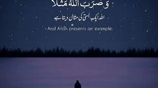 Talawat Quran with Tarjma Surah