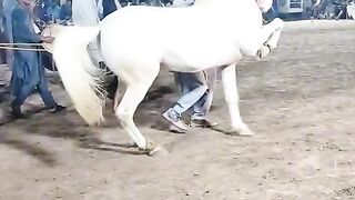 video27