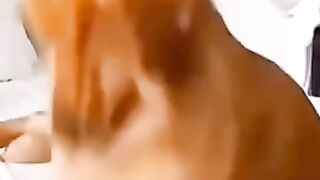 Funny vido it very funny vido