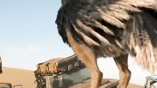 viral video