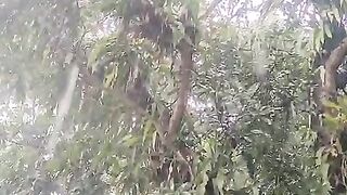 Rainy day
