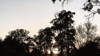 Online earnings 2025