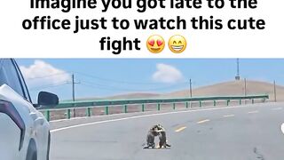 ????????????????___explorepage