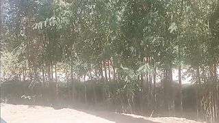 My village shorts