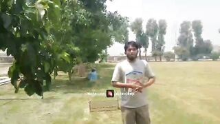 Beauty of Punjab, Beauty of Punjabi culture