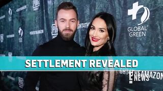 Nikki Bella Must Pay Artem Chigvintsev Thousands in Child Support