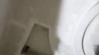 Gypsum board