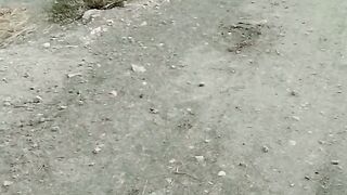 Snake death in village