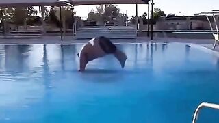 #FunVideo
