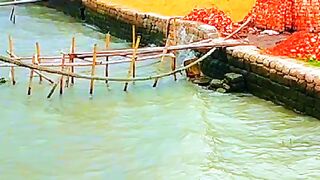 ফ্রী সময়