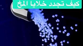 les cellules nerveuses