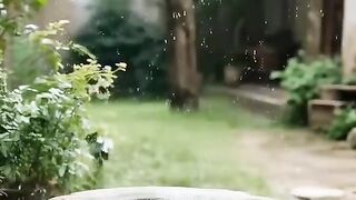 Ai Story